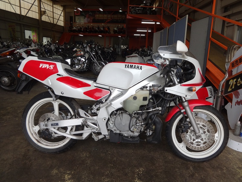 八尾市で買取した1989年モデル3MA型TZR250