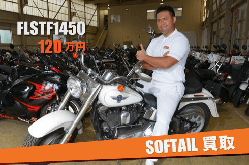 ソフテイル買取