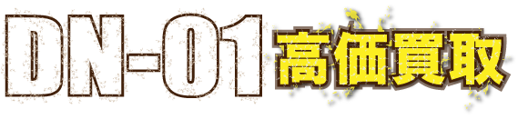 flash-dn-01最強の買取価格