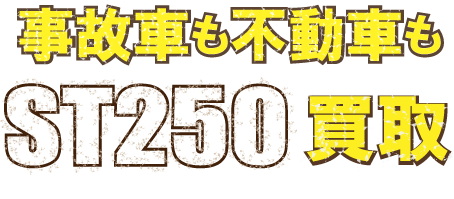 flash-st250e-jikofudo最強の買取価格