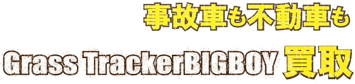 flash_grasstrackerjikofudo最強の買取価格