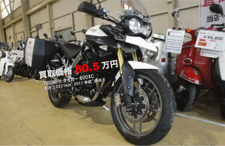 flash_triumph-tiger800xc