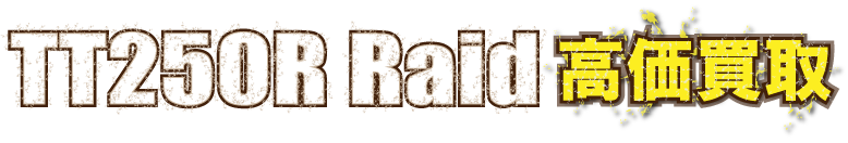 kaitori-tt250r-raid-fudo-最強の買取価格