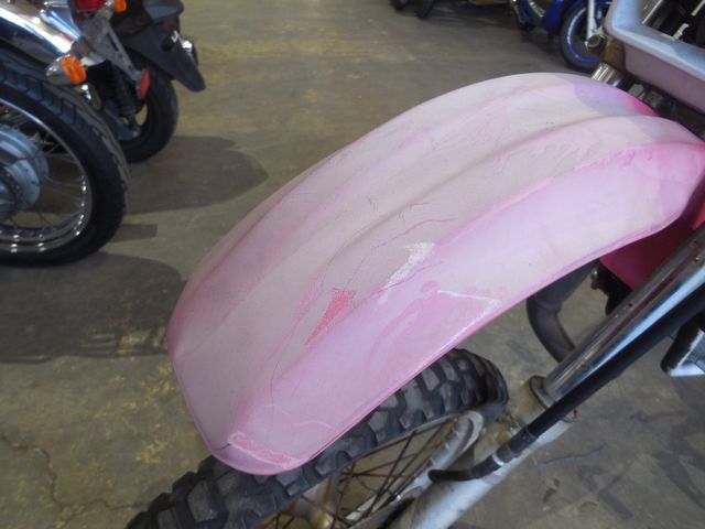 色褪せが激しい外装のフロントフェンダー