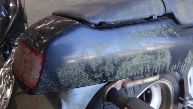 苔の生えているカウル