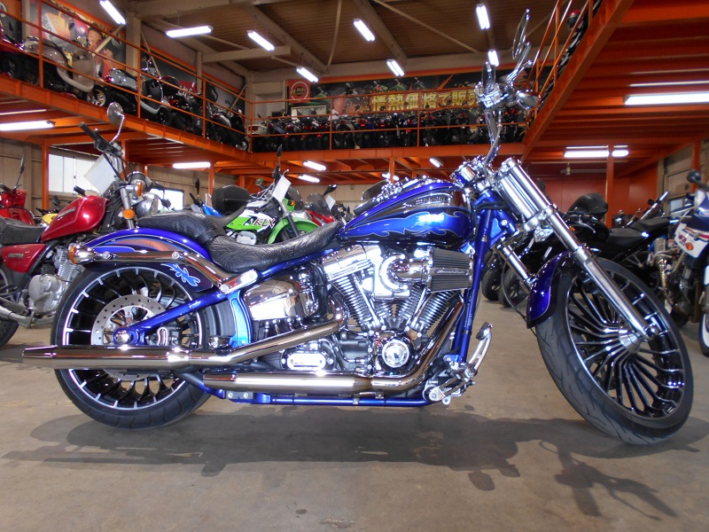 ブルー×シルバーの14年のカタログモデルとなったFXSBSE