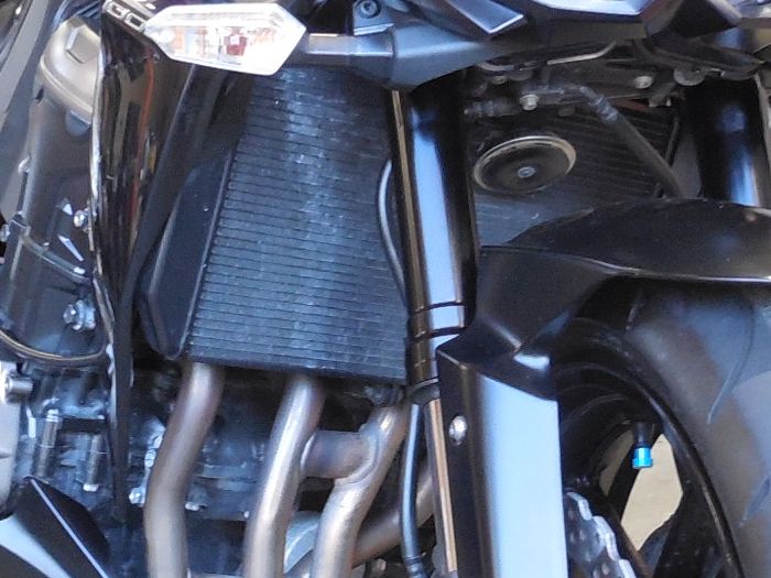 細かい錆びが目立つラジエーター/錆びや焼けがやや目立つエキパイ