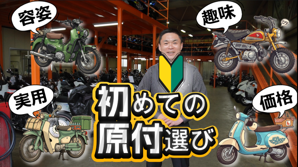 【予算とタイプで選別】初めての原付バイク選び
