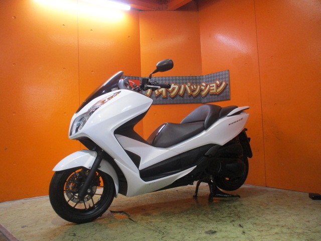 最長２４か月保証付き！！カラーも人気で希少なパールヒマラヤズホウィアト！このカラーは本当にお洒落！！