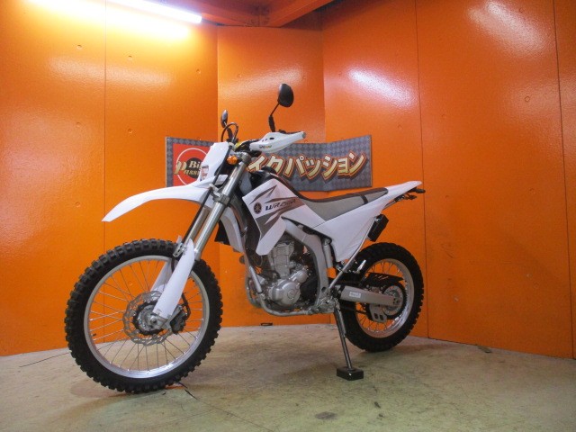 最長２４か月保証付き！！ＷＲ自体が希少ですが、このパープリッシュホワイトソリッドは本当に希少ですよ！