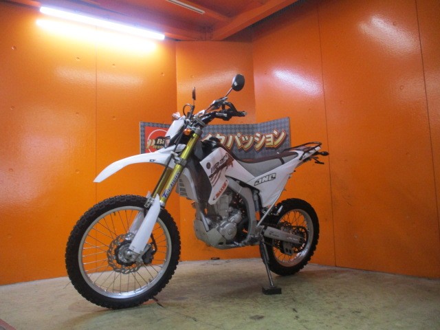 最長２４か月保証付き！！この２０１４年の新色のパープリッシュホワイドソリッドがこの価格はお安い！