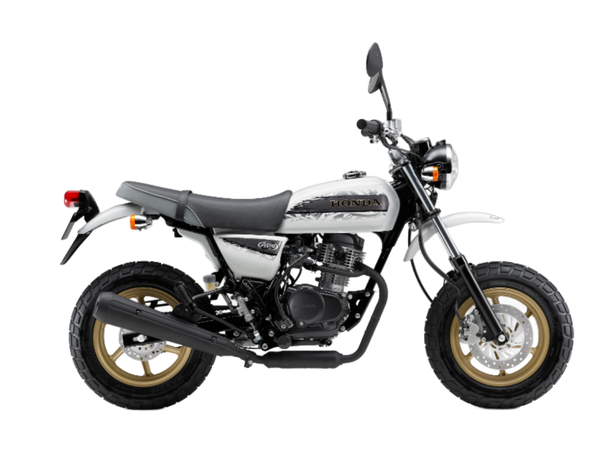 エイプ100タイプD【HC13｜2009年式】