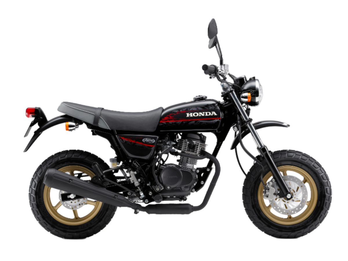 エイプ100タイプD【HC13｜2009年式】