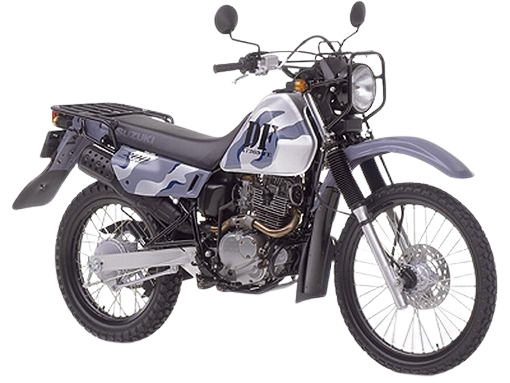 【1998年式】DF200E｜フラッシュシルバーメタリック×グレー