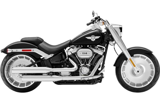 【2020年式】FLFBS ファットボーイ