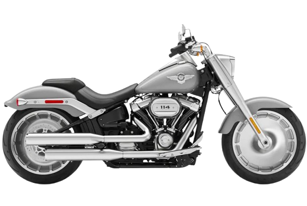 【2020年式】FLFBS ファットボーイ