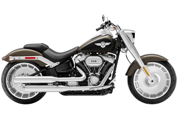 【2020年式】FLFBS ファットボーイ