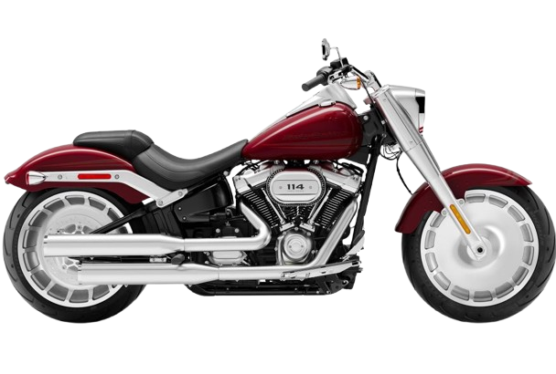 【2020年式】FLFBS ファットボーイ