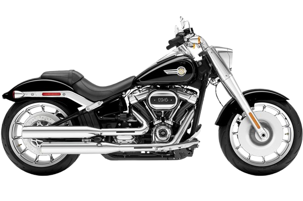 【2023年式】FLFBS ファットボーイ