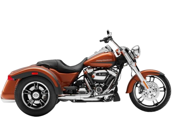 【2019年式】FLRT フリーウィーラー