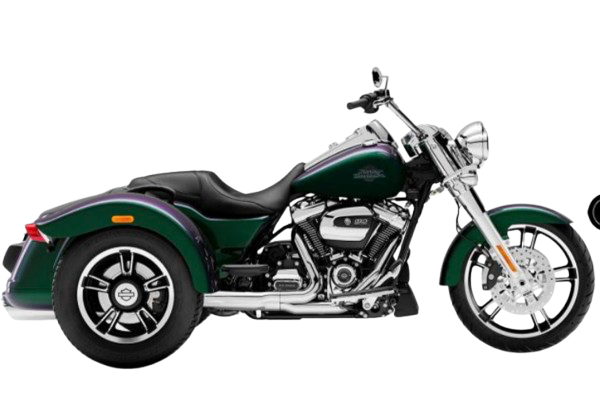 【2021年式】FLRT フリーウィーラー