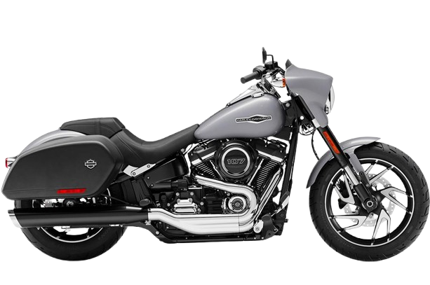 【2019年式】FLSB スポーツグライド