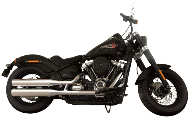 FLSL ソフテイルスリム 【2018～21年｜M8 107】