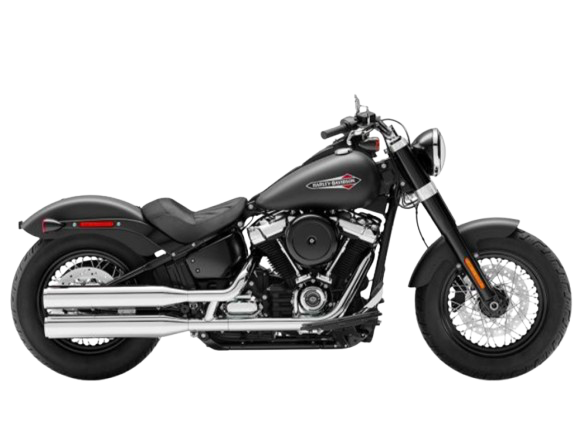 【2019年式】FLSL ソフテイルスリム