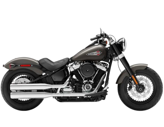 【2019年式】FLSL ソフテイルスリム