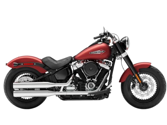 【2019年式】FLSL ソフテイルスリム