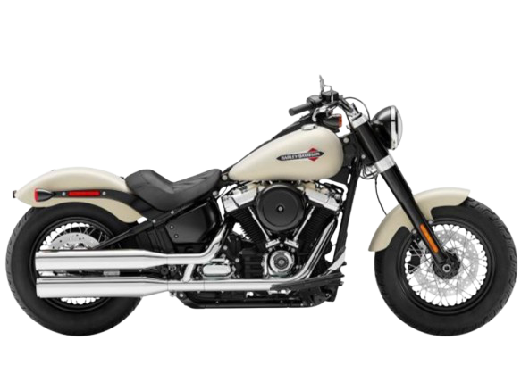 【2019年式】FLSL ソフテイルスリム