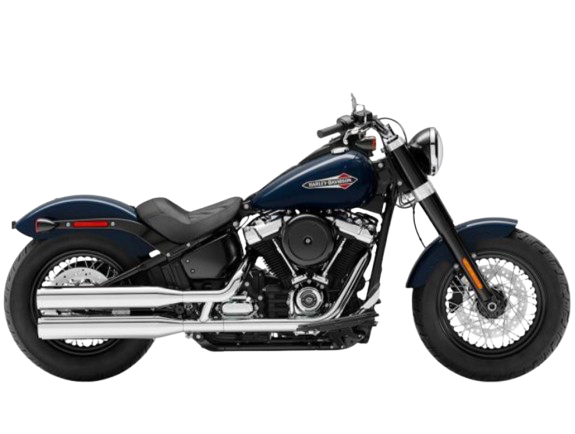 【2019年式】FLSL ソフテイルスリム