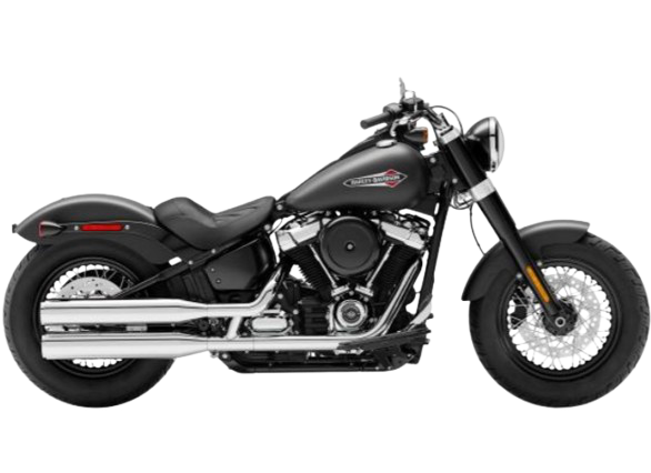 【2020年式】FLSL ソフテイルスリム