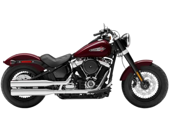 【2020年式】FLSL ソフテイルスリム