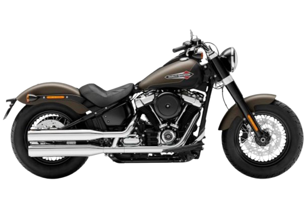 【2021年式】FLSL ソフテイルスリム