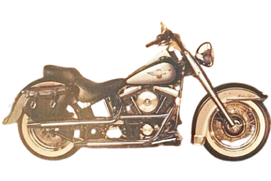 FLSTN ヘリテイジ ソフテイル ノスタルジア 【1993～96年式 EVO】