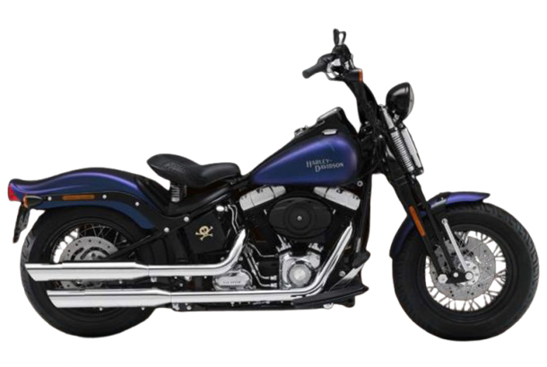 【2010年式】FLSTSB クロスボーンズ