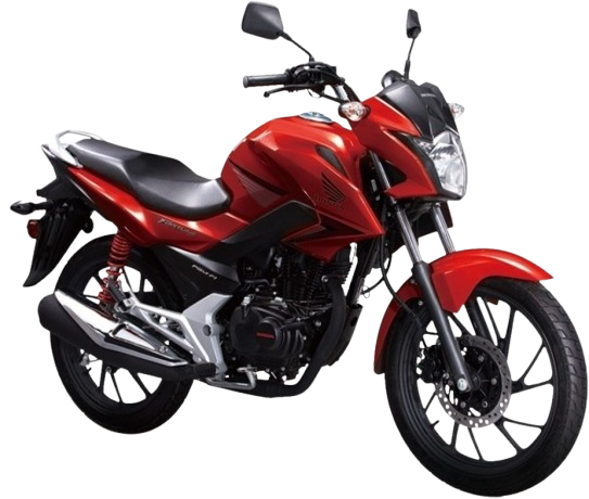 【2018年式】Fortune Wing　WH125-12
