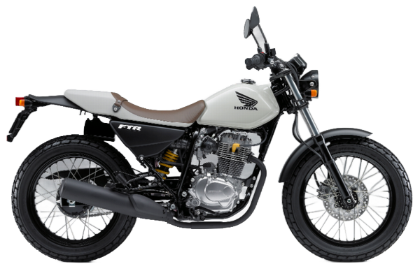 【2007年式】 FTR223