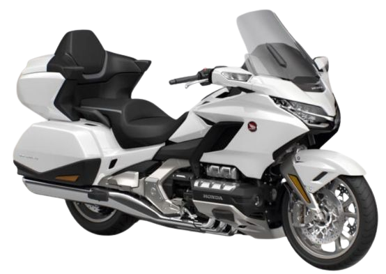 【2026年式】ゴールドウイ