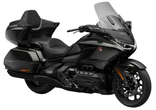 【2026年式】ゴールドウイ