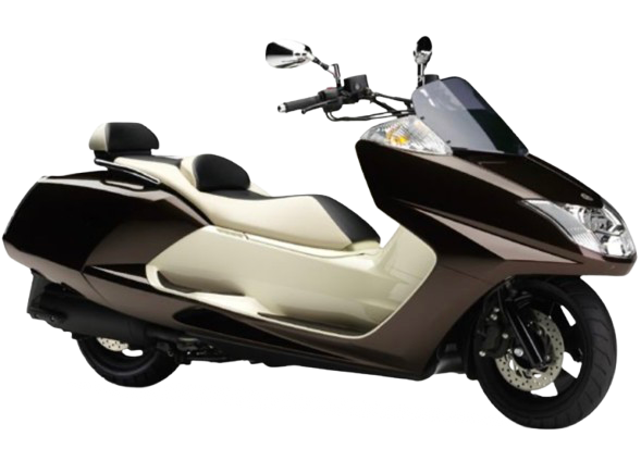 【2010年式】 マグザム(MAXAM)|ベリーダークオレンジメタリック1