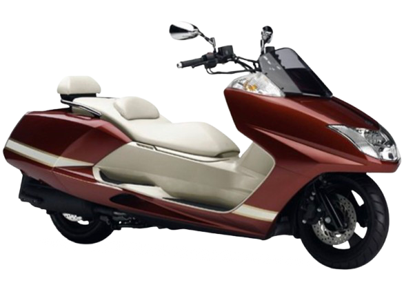 【2012年式】 マグザム(MAXAM)|ダルイエローイッシュレッドカクテル4