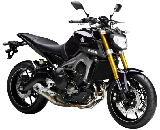 【2014年式】 MT-09|ベリーダークバイオレットメタリック1