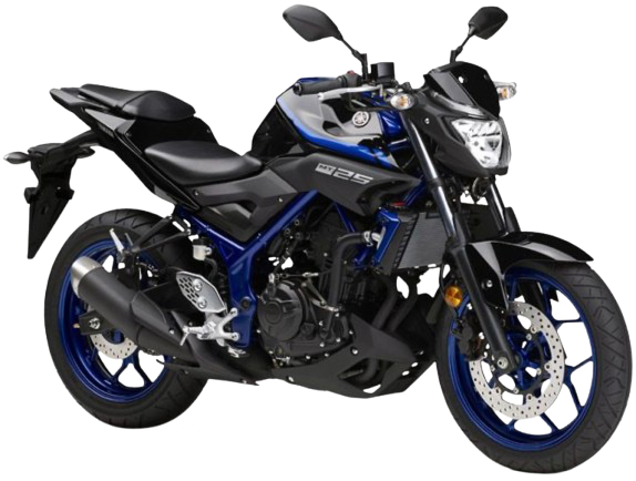 MT-25【2016~現行】|2018年式 ディープパープリッシュブルーメタリックC