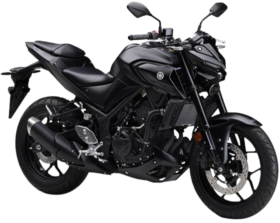 MT-25【2016~現行】|2021年式 マットダークグレーメタリック8