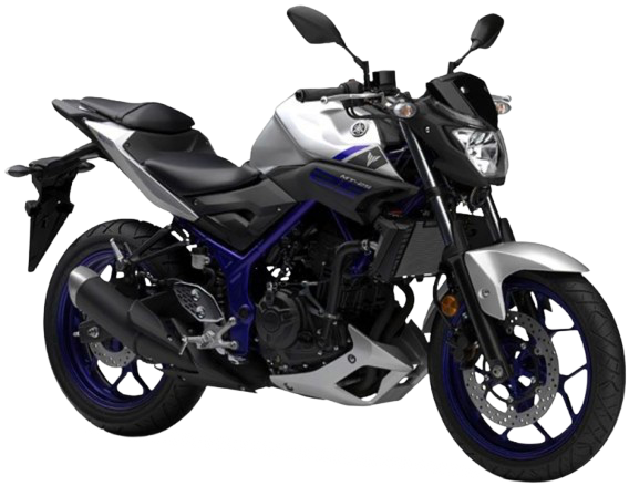 【2016年式】 MT-25|マットシルバー1