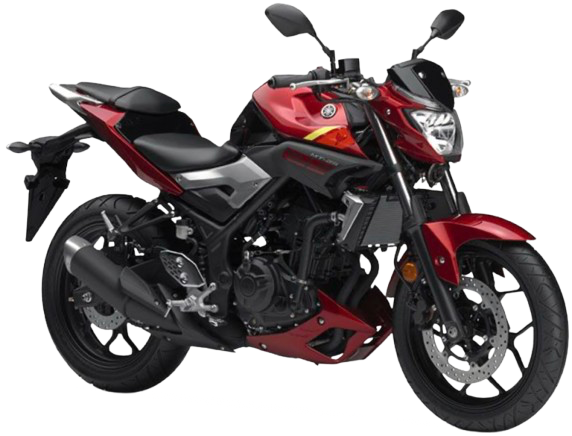 【2016年式】 MT-25|レッドメタリック7