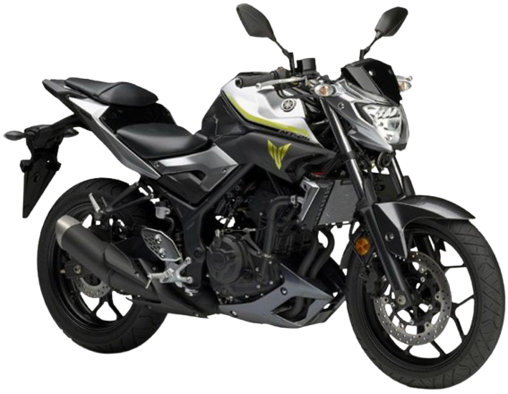 【2017年式】 MT-25|シルバー8