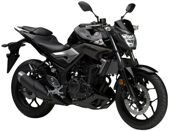 MT-25 【RG10J|2016~17年式】|2016年式 ブラックメタリックX